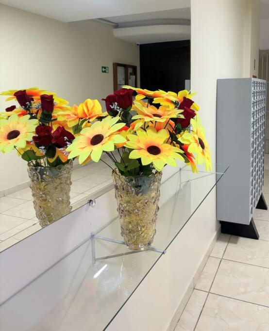 Ape Darcy Ribeiro Apartment Brasília Luaran gambar